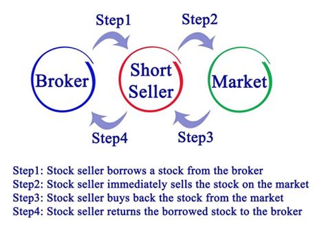 Short stock calculator. Things To Know About Short stock calculator. 