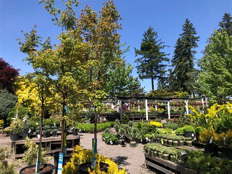 Shortys Nursery Inc in Ridgefield, WA with Reviews