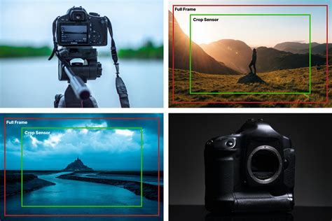 Should I Use a Crop Sensor or Crop an Image From a Full Frame Sensor