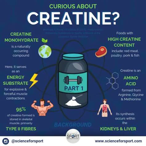 Should I let my teen use creatine? - Arnold Palmer …