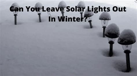 Should Solar Lights Be Left Out In The Winter? – Solar Adviser