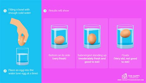 Should an egg float in water