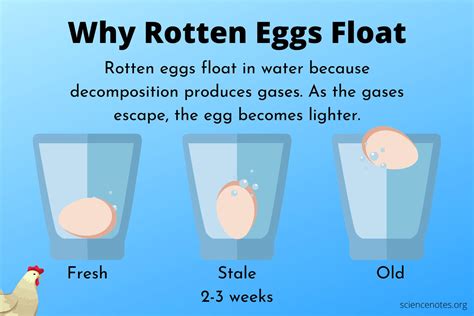 Should eggs float in water
