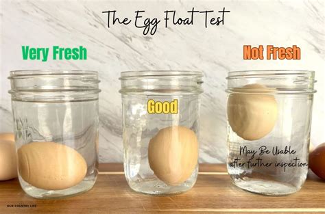 Should fresh eggs float