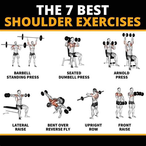 Shoulder Exercises