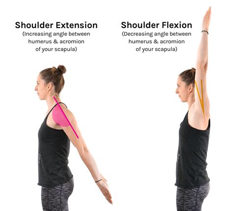 Shoulder extension. Things To Know About Shoulder extension. 