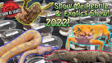 Show Me Reptile and Exotics Show - AmericanTowns.com