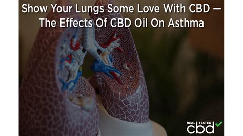 Show Your Lungs Some Love With CBD — The Effects Of CBD Oil On Asthma