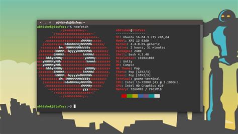 Show linux version terminal