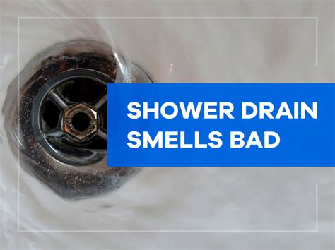 Shower drain smells. 