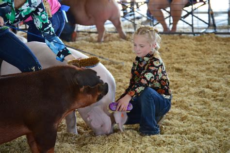 Showmanship Clinics - Kerr