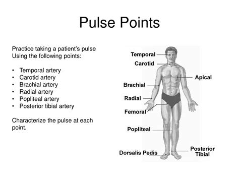 Shows The Pulse