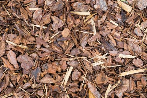 Shredded pine bark mulch.  Color Choices: Natural tones feel warm, while brown Top R...