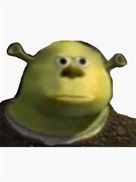 Memes involving shrek aren’t funny anymore. To my understanding they all started when that video “shrek is love, shrek is life” and I thought the memes that came out of that video and then the movies were quite funny. But as the years go on more and more use shrek as a meme, especially if videos on YouTube and tiktok.. 