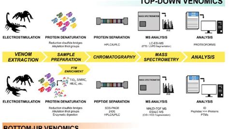 Shrew Venom Solutions - Creative Proteomics