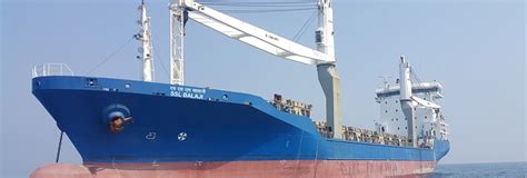 Shreyas Shipping Share Price