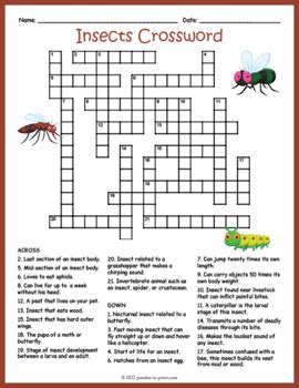 Our crossword solver found 10 results for the crossword clue "shrill insects".. 