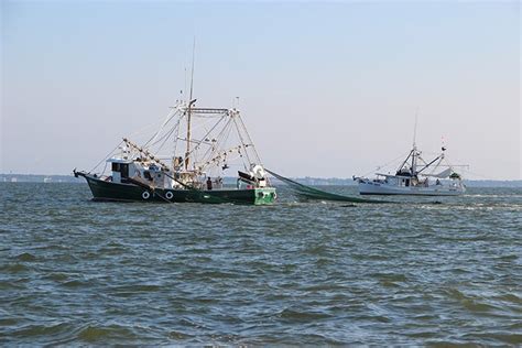 Shrimp season to close west of Gulfport Ship Channel; Additional …