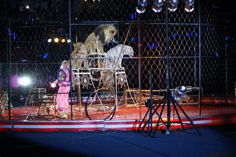 Shriners circus tulsa. Things To Know About Shriners circus tulsa. 