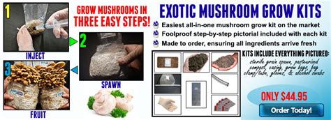 Shroom supply. Out-Grow is your mushroom supply superstore. We offer mushroom growing supplies, mushroom substrates, liquid cultures & more. Click to order today or … 