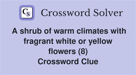Shrub in warm climates crossword clue. Things To Know About Shrub in warm climates crossword clue. 