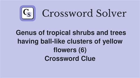 Shrub or tree - 1 answer Crossword Clues