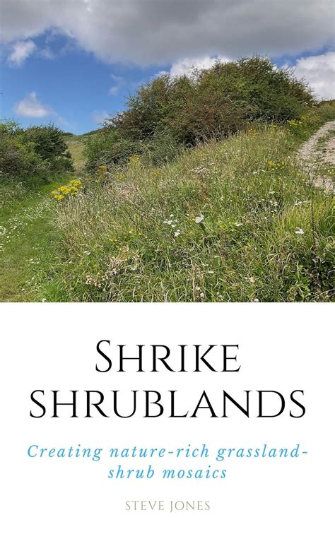 Shrubland - English to French Translation