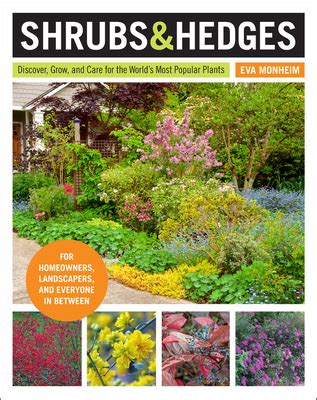 Read Online Shrubs And20 Hedges Discover Grow And Care For The Worlds Most Popular Plants By Eva Monheim