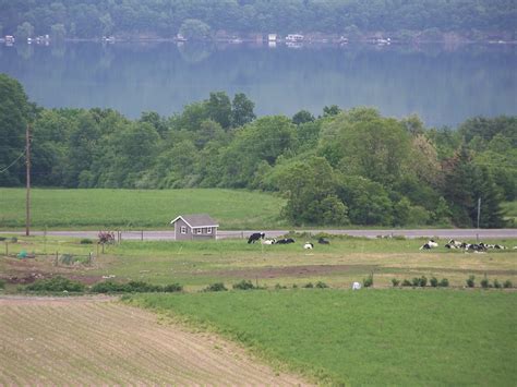 Shtayburne farm - fingerlakesdairyfarm.us14.list-manage.com