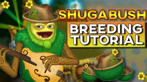 Shugabush breeding.  There&rsquo;s no guaranteed success rate, so you might...