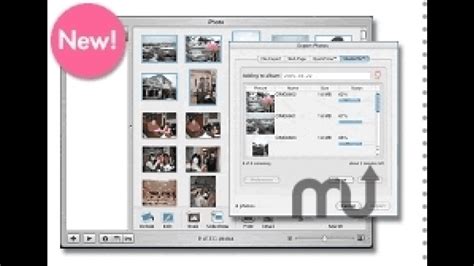 Shutterfly Export Assistant for iPhoto - Free Download Manager