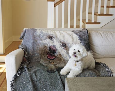 Pair your fleece with a matching personalized pillow and they will make a great addition to any existing home décor! Available in sizes 30x40, 50x60 and 60x80. Machine wash, tumble dry low. For extra warmth and softness try our Plush fleece or wrap yourself in our premium, luxe Sherpa blanket.. Shutterfly blanket