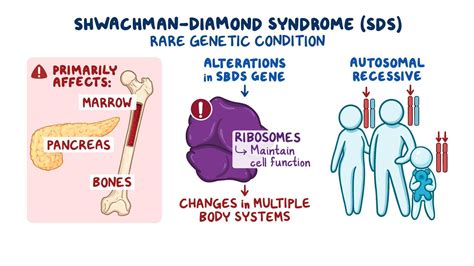 Shwachman-Diamond syndrome - Living with the Disease