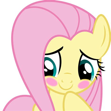 Shy pony. September 7, 2013. Fluttershy is my best pony, I think she is just so adorable. She makes the cutes faces and sounds. Her voice is soft and kind, not to mention her incredible singing voice. She also has a really good color scheme and overall design. #20. September 8, 2013. On 2013-09-06 at 1:43 PM, CadenceDerp said: 