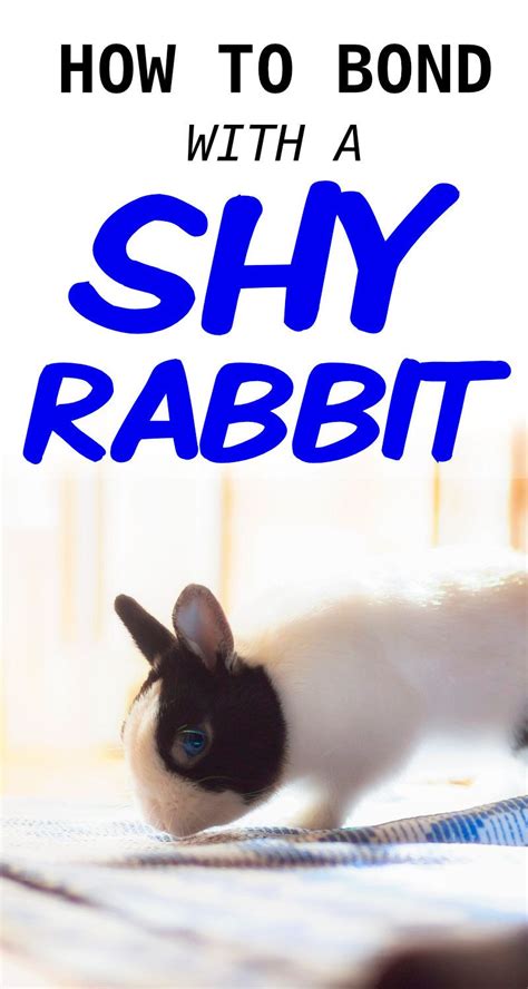 Shy_Bunny_ Leaked PORN 🍆 217 Pics