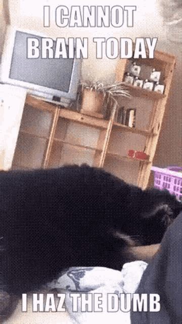 🔥 [CLIP] Shykitty01 Onlyfans Leak