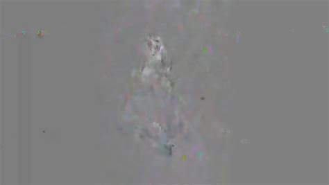 Shymommyintexas Leaked XXX 💦 76 Pics