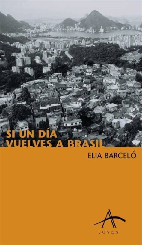 Si un día vuelves a brasil. - Importers manual u s a 1995 96 edition by edward g hinkelman.