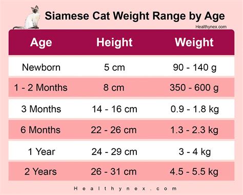 Siamese Cat Weight Chart at Cat - informationcubes.com