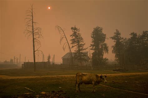 Siberia’s massive wildfires are unlocking extreme carbon pollution ...