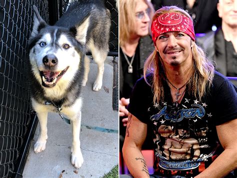 Siberian husky named after Poison guitarist Bret Michaels to be adopted by … Bret Michaels
