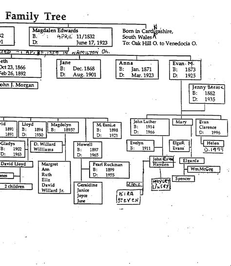 Sibyl Rees - Ancestry®