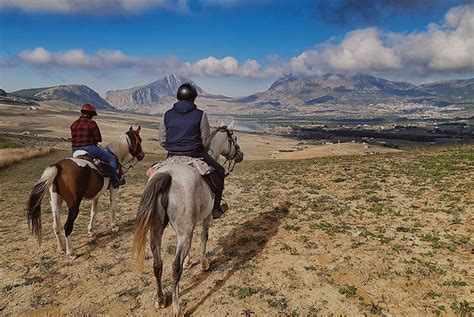 Sicily Horse Tours - Meta Business