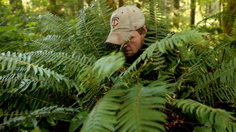 Sick of paying for ferns and trees? In Oregon’s forests, they’re free