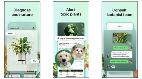 Sick plant app. ‎Snap a photo to diagnose a disease! We will tell you the health percentage of the plant and care and maintenance tips for the plant not to get sick or if your plant have any disease we tell you how to treat your beloved plant and make it healthier more than ever! With over 800 plant diseases we te… 