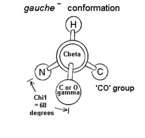 Side Chain Conformation