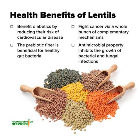 Side effects of eating lentils everyday.  An evidence-based guide to the ...