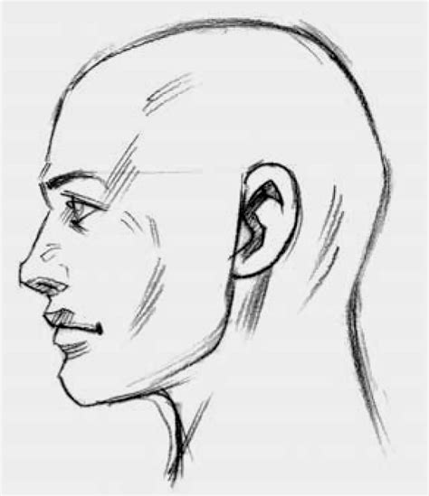 Sideways profile drawing. Things To Know About Sideways profile drawing. 