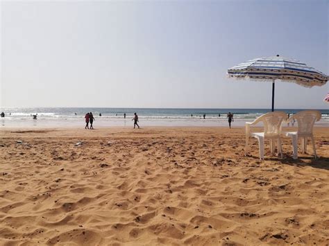 codini.rgarabwor.edu.pl. 