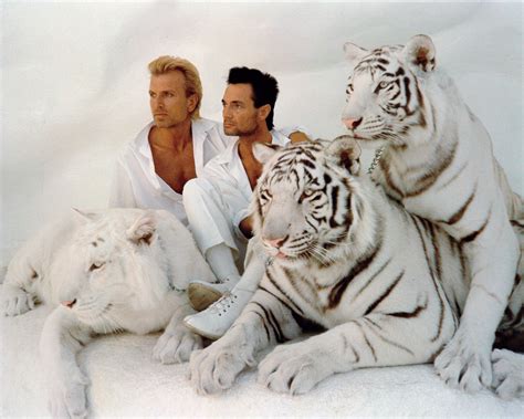 Siegfried and roy tiger attack video. - Chevy silverado manual transmission for sale.